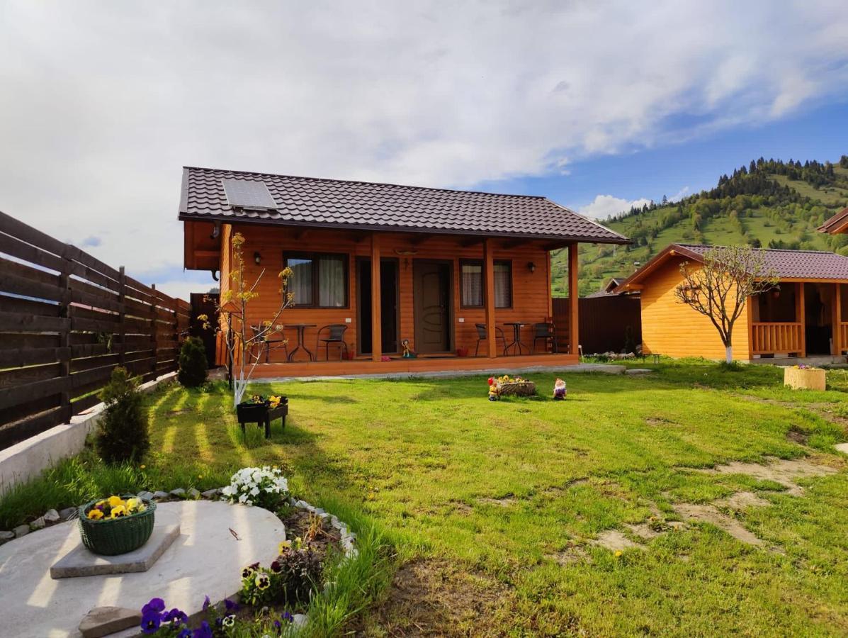 Casa Poiana Teiului Hotel Bagian luar foto